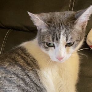 Meet your Posher, Nadia